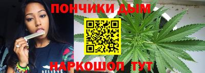 гидропоника Бийск