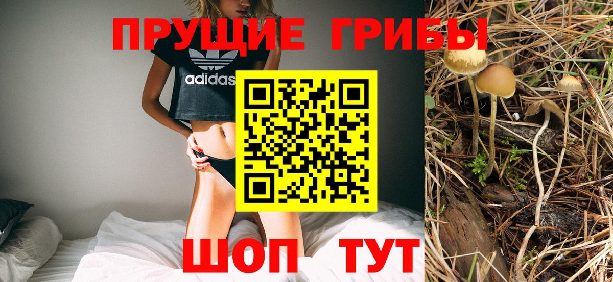 Псилоцибиновые грибы GOLDEN TEACHER Апрелевка