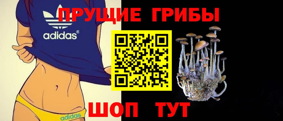 как найти наркотики  Псилоцибиновые грибы мицелий  Вход с VPN  Апрелевка 